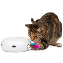 cat toy